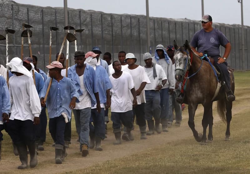 The Plantation Never Disappeared — It Just Changed Its Name