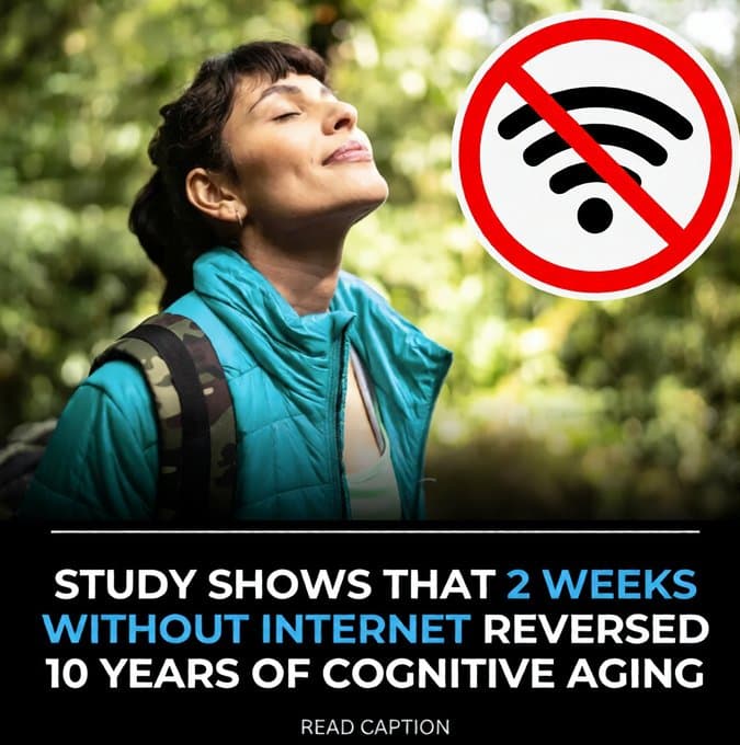 Give Up Mobile Internet for 14 Days — Rewind Your Brain 10 Years