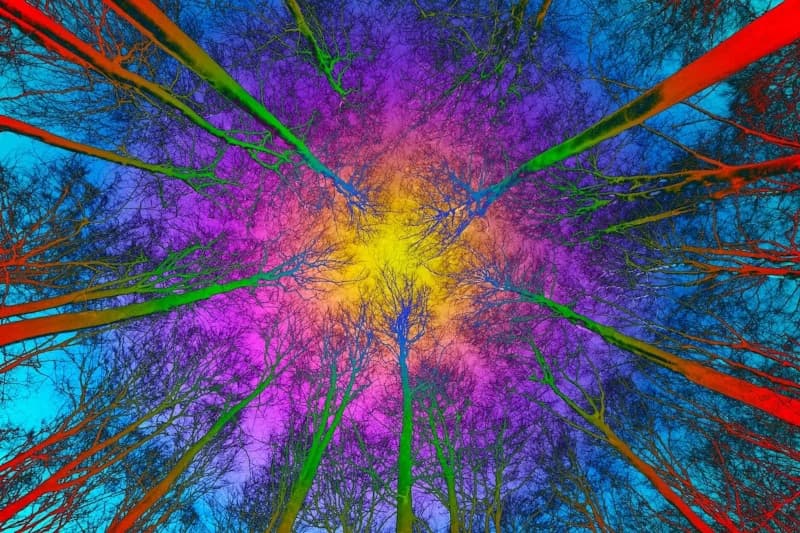 Are We Surrounded by Trillions of Conscious Beings?