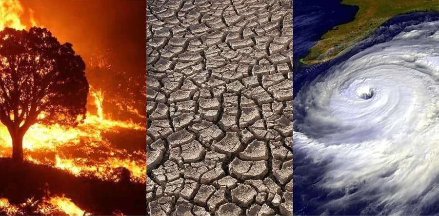🌍 Climate Scientist Fights to Save the Truth -When Data Disappears, What Happens to Science?